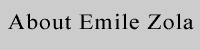 A wealth of information about the life & works of Emile Zola
